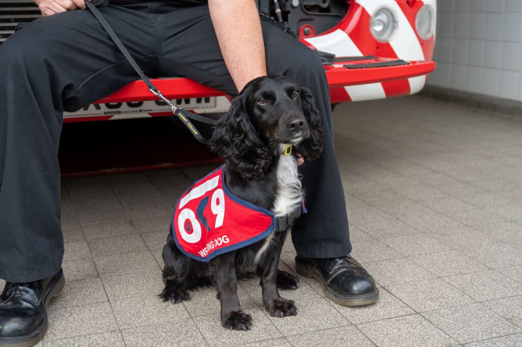 NFRS wellbeing dog Olive