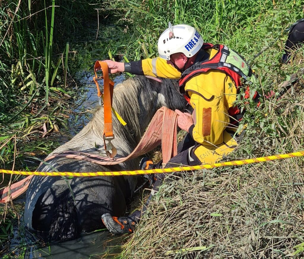 Mick Titcombe rescuing a horse from a ditch