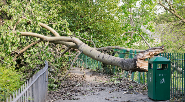 Prepare: Public Resilience Campaign