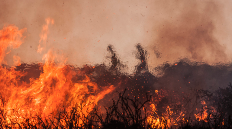Prepare: Public Resilience Campaign