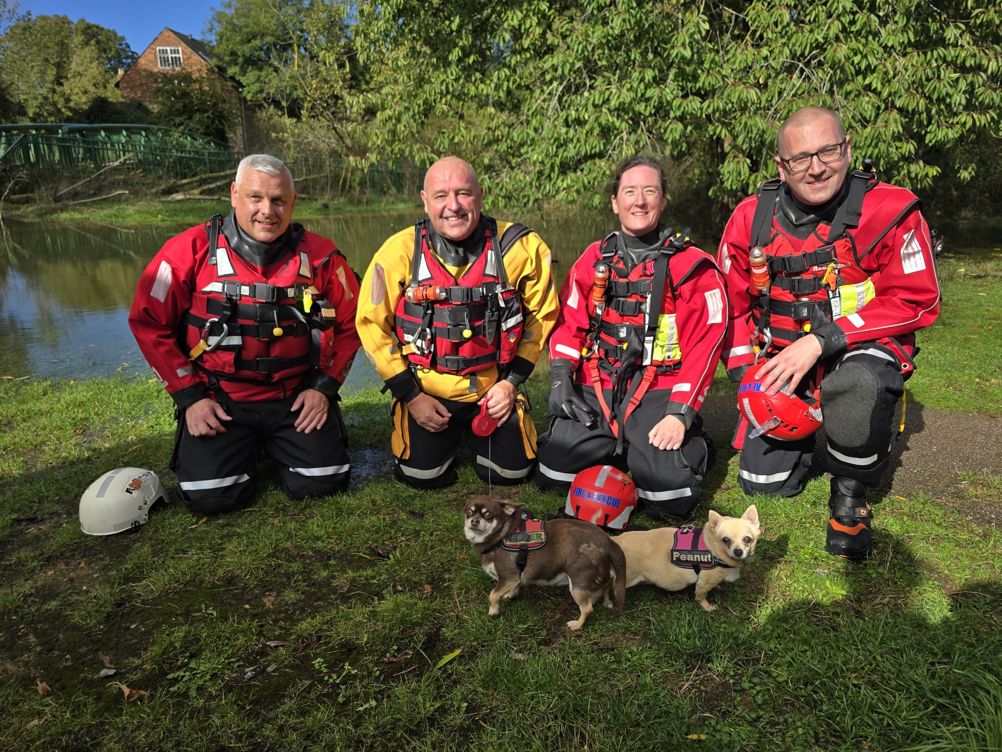 Fire Service assist people and dogs during boat rescue ...