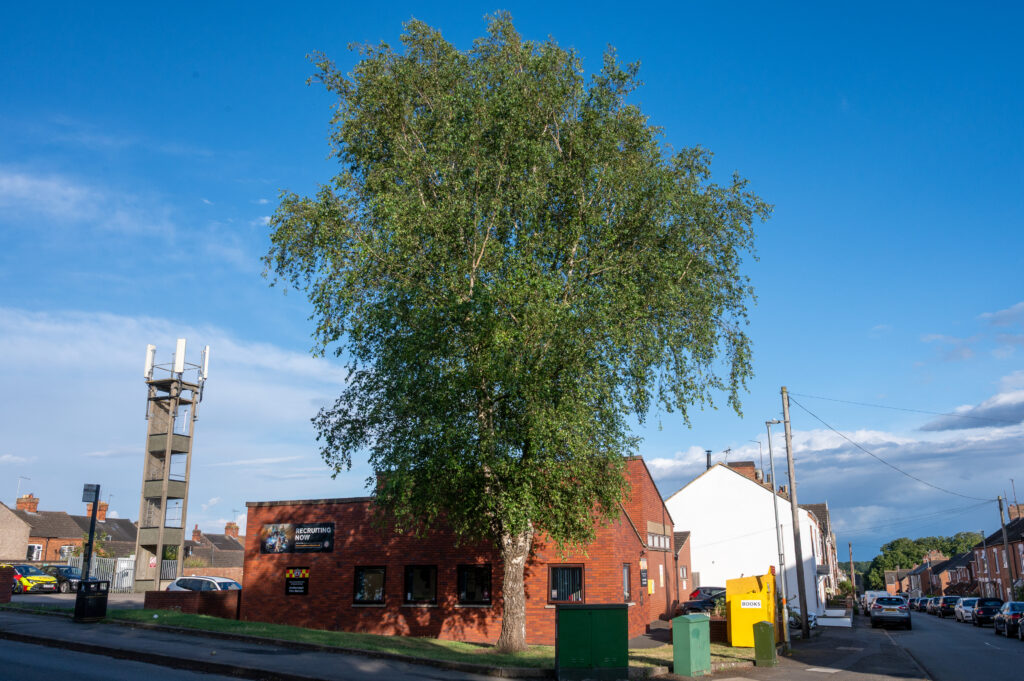 Street scene featuring a large tree, a brick building with a 'RECRUITING NOW' sign, a cell tower in the background, and residential houses with parked cars under a partly cloudy sky.