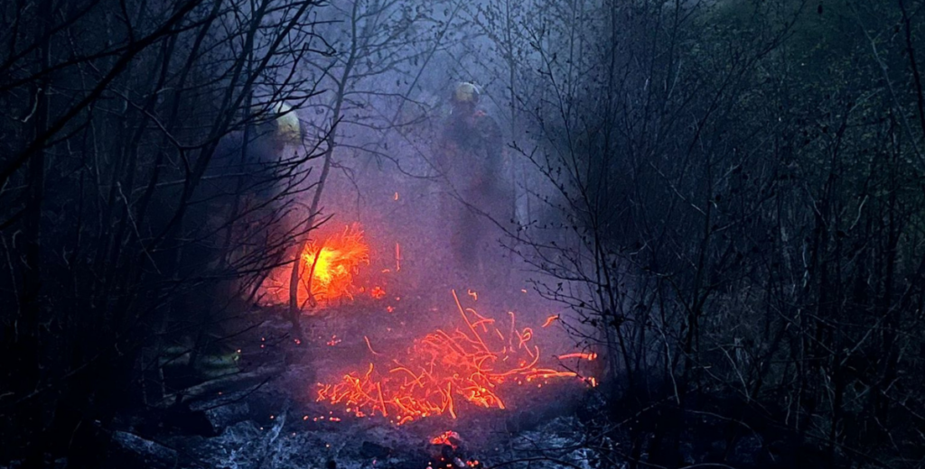 A small fire burns on the ground along a narrow woodland path, glowing orange among leafless shrubs and ash. Two firefighters wearing protective helmets and dark clothing stand in the smoky, misty background, partly obscured by branches, observing the fire.