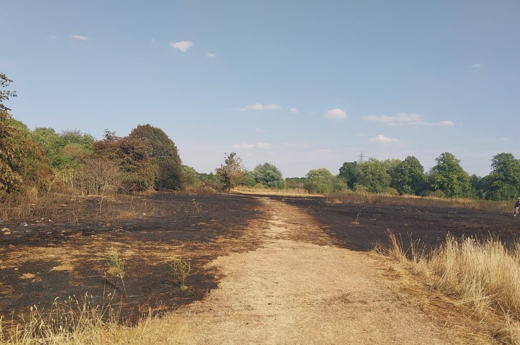Area of grassland, scorched and blackened from fire.